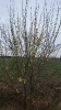 Wielkanoc 2017_11