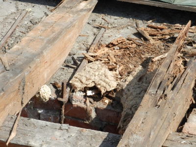 Remont mauzoleum - etap 1_129